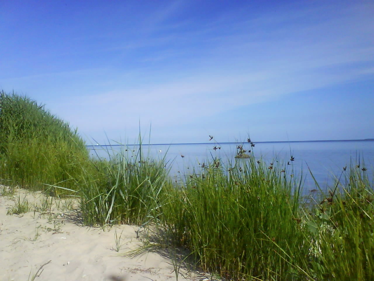Rügen